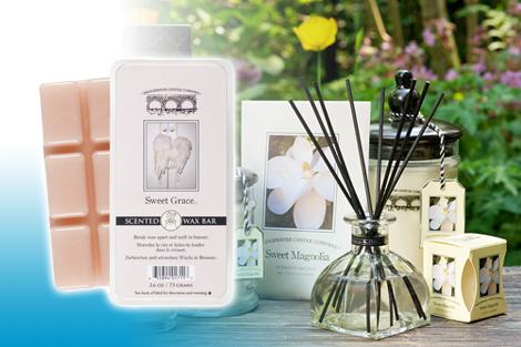 Bridgewater – Wax Bars Bridgewater – Wax Bars